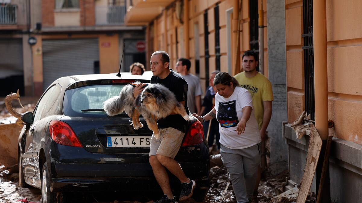 Entrevista a Soraya del Portillo, Presidenta de la Asociación familia Bombay, que está recogiendo material para animales afectados por la DANA en Valencia