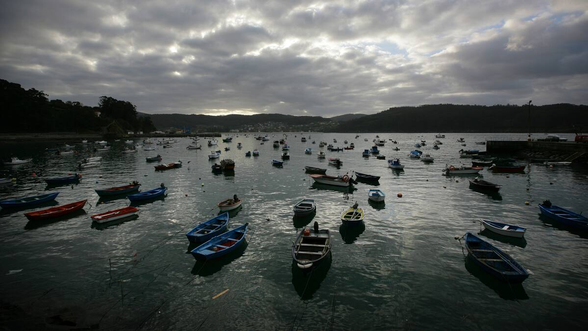 Entrevista al director del Observatorio del Litoral de la UDC (05/07/2023)