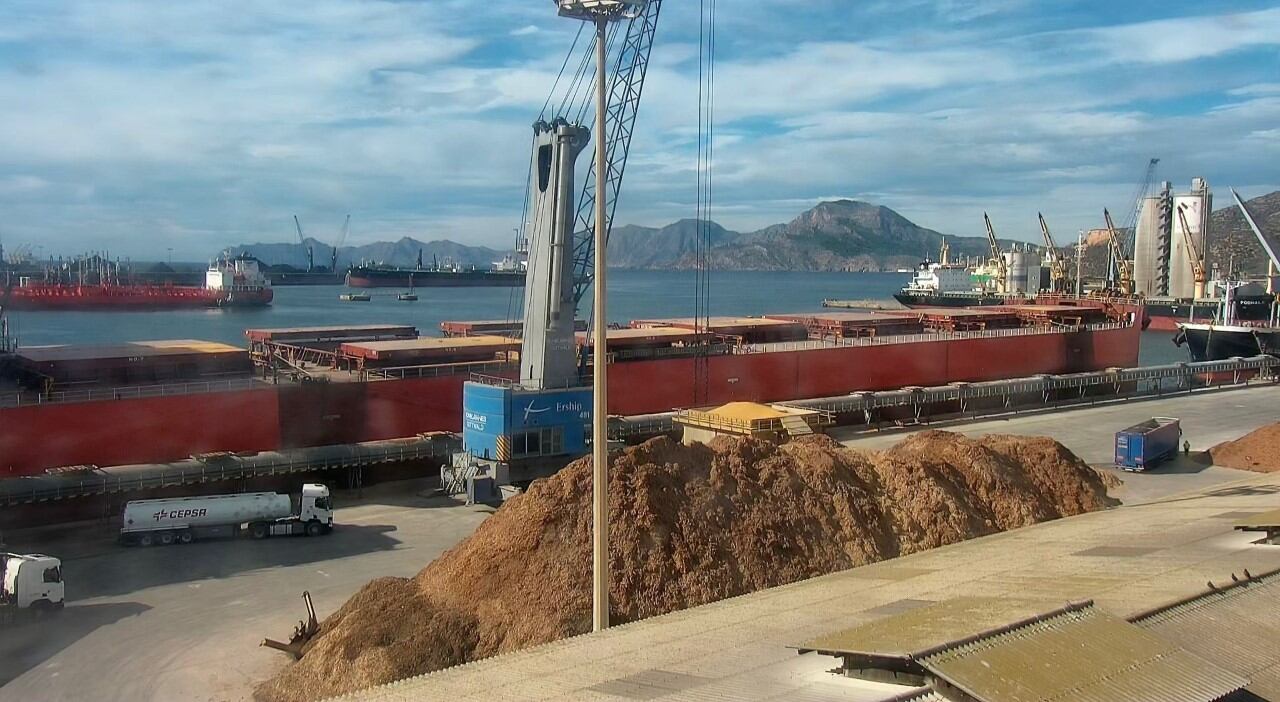 Actividad Portuaria de Cartagena