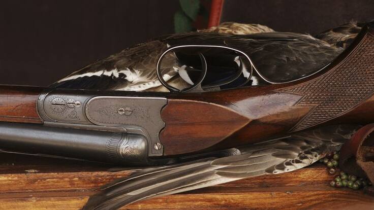 En Aragón también podrán cazar los chavales de 14 años