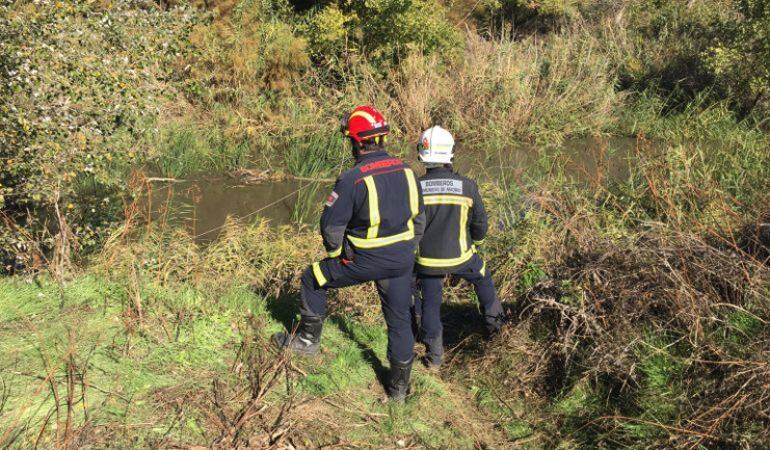 Los Bomberos de la Comunidad de Madrid en tareas de búsqueda del vecino de Perales del Río desaparecido mientras cazaba. 