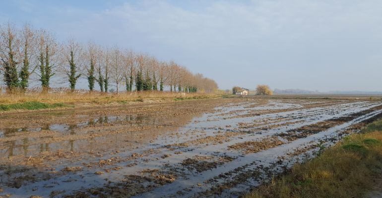 Imagen de archivo de una inundación de un campo