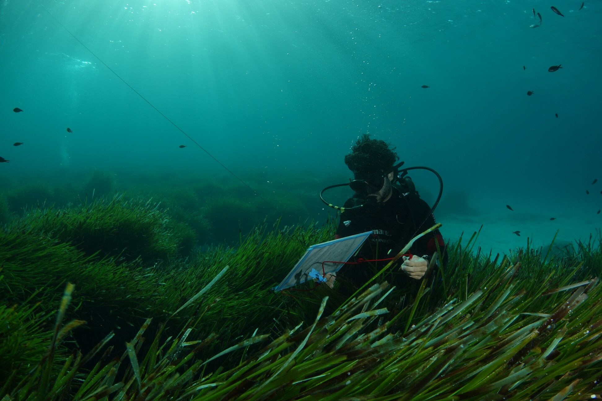 Investigadores del IEO analizan el entorno de El Gorguel