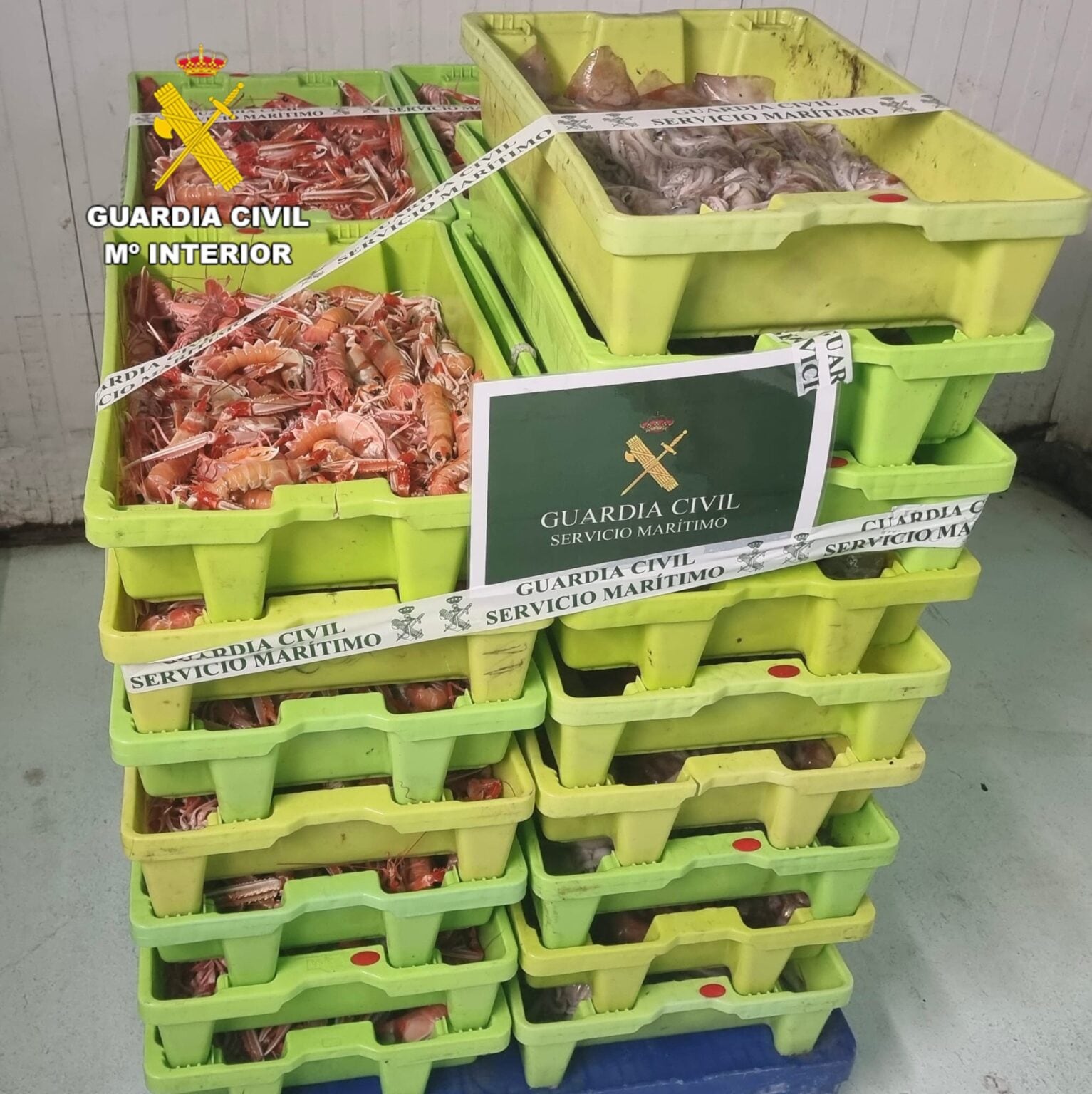 03/04/2024 Cigala en veda capturada..

El Servicio Marítimo Provincial de la Guardia Civil de A Coruña investiga al patrón y armador de una embarcación por un delito contra la flora y la fauna al capturar 145,25 kilos de cigala en una zona prohibida.

SOCIEDAD
GUARDIA CIVIL DE A CORUÑA
