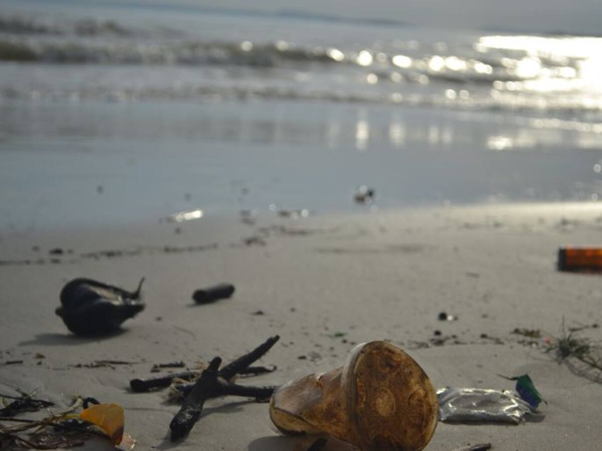 Del fondo del mar, a las pasarelas de Florencia