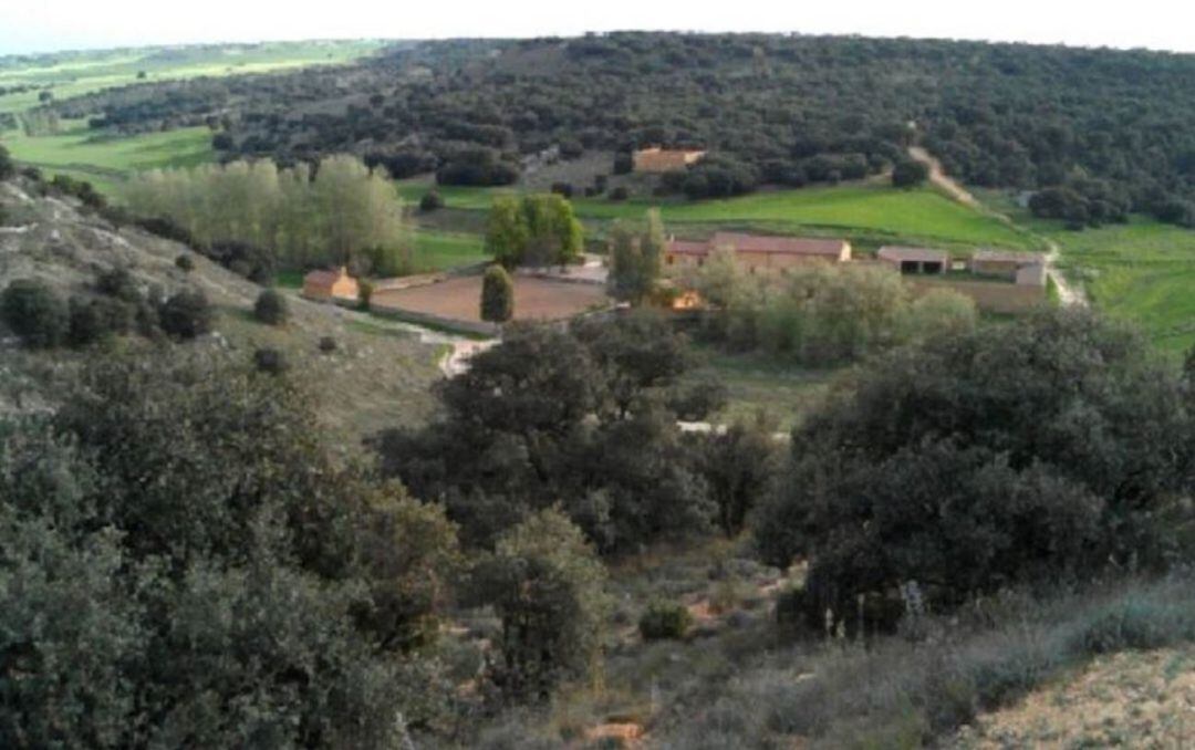 Monte el Viejo de Palencia