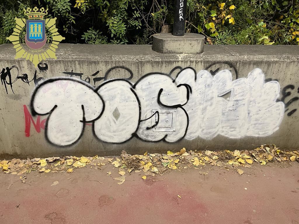 Dos grafiteros denunciados por realizar varias pintadas en el Parque del Ebro