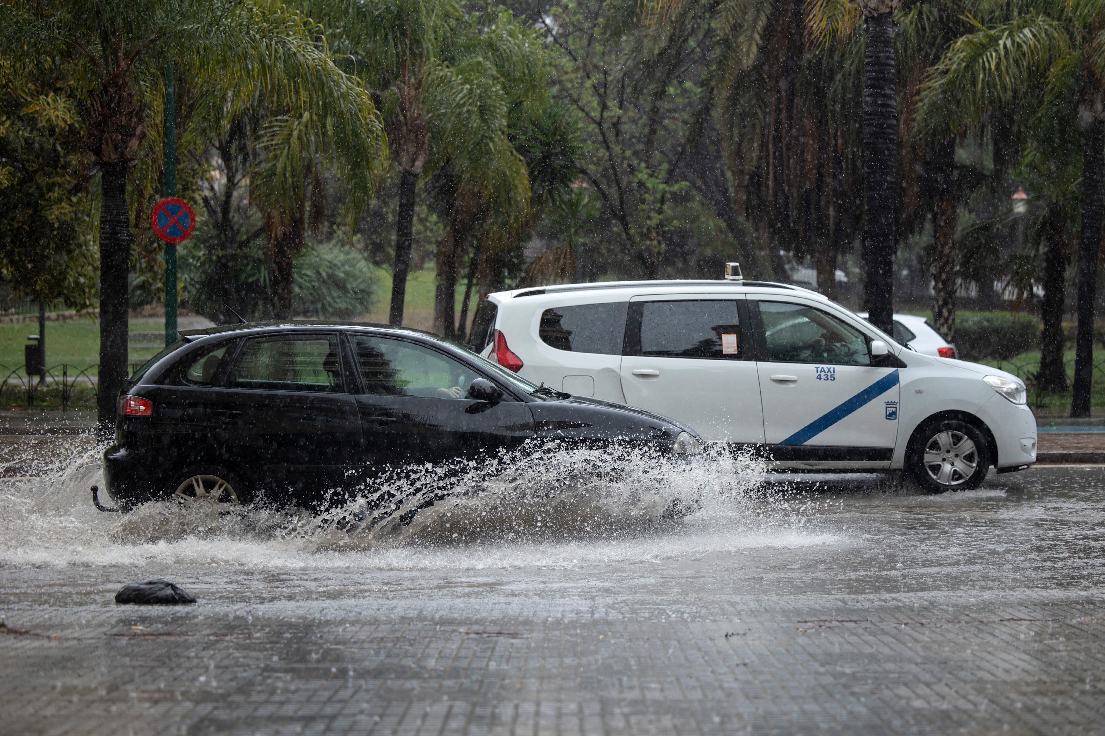 MÁLAGA, 30/03/2024.- Varios coches circulan bajo la lluvia que está cayendo sobre la capital malacitana este sábado. La borrasca Nelson da sus últimos coletazos con lluvias muy fuertes en Andalucía en las últimas 24 horas, que este viernes provocaron inundaciones en la localidad de San Nicolás del Puerto (Sevilla), y una treintena de carreteras afectadas por la nieve este sábado. EFE/ Daniel Pérez
