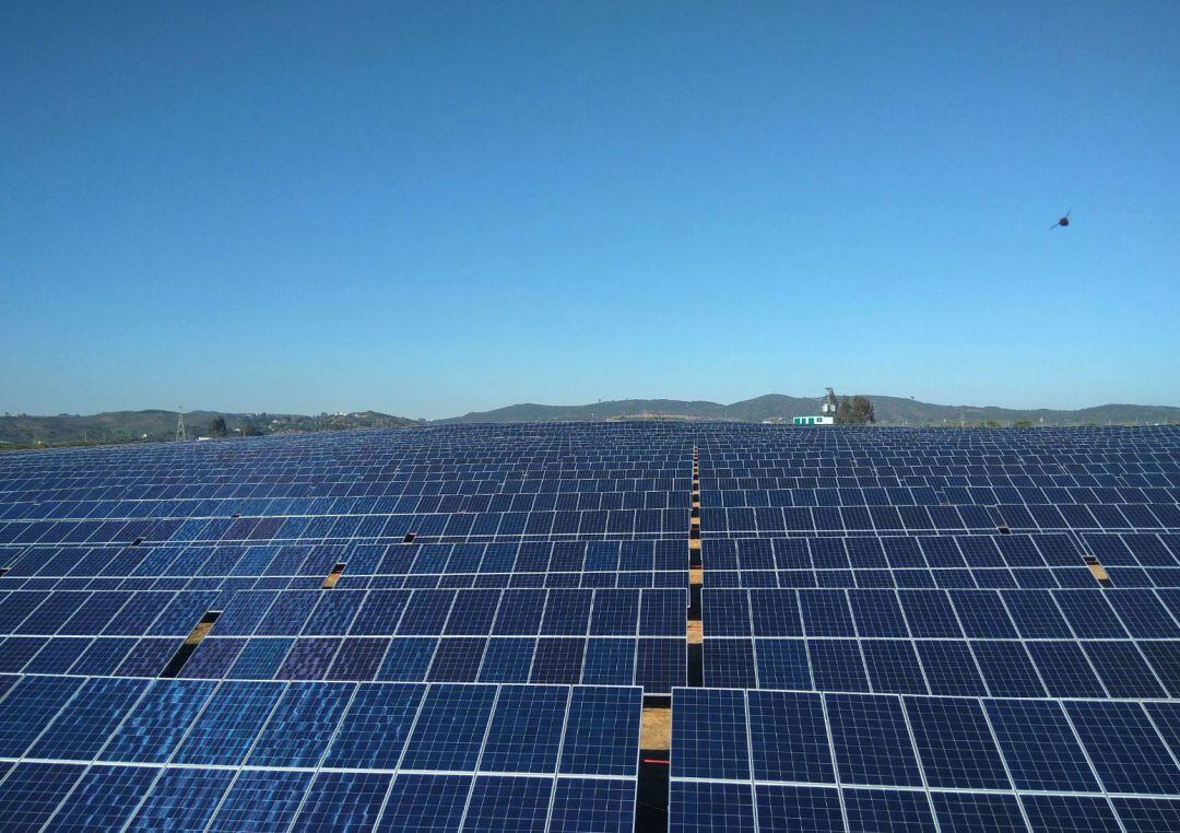 La plana solar a Lora del Río de Som Energia