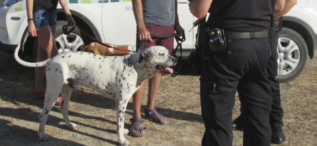 Policía Municipal de Sanse en una campaña de control de perros