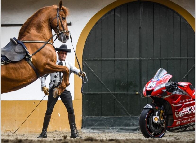 El espectáculo será en el picadero cubierto del Recreo de las Cadenas