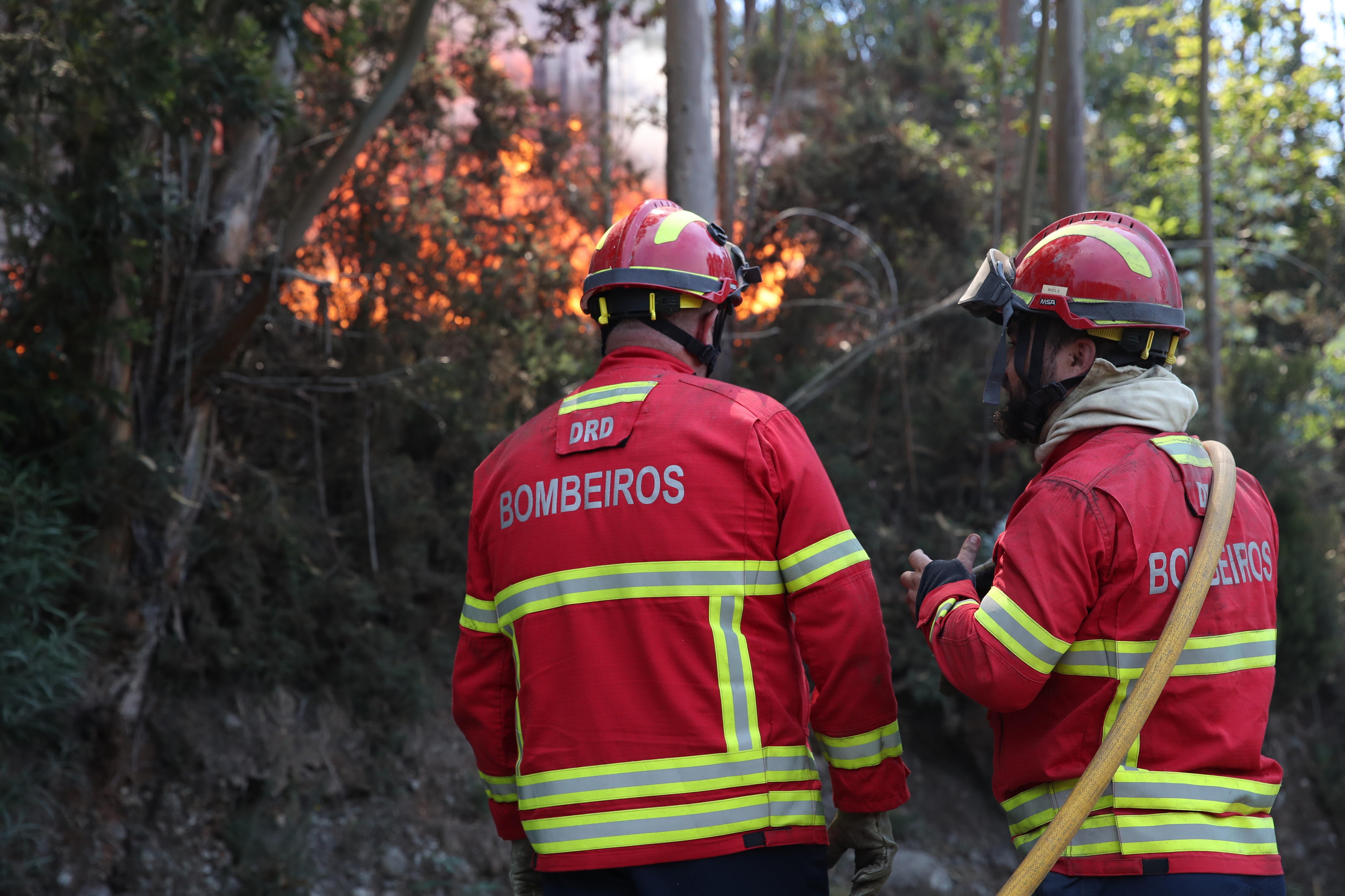 Bomberos trabajando en las labores de extinción del incendio de Madeira