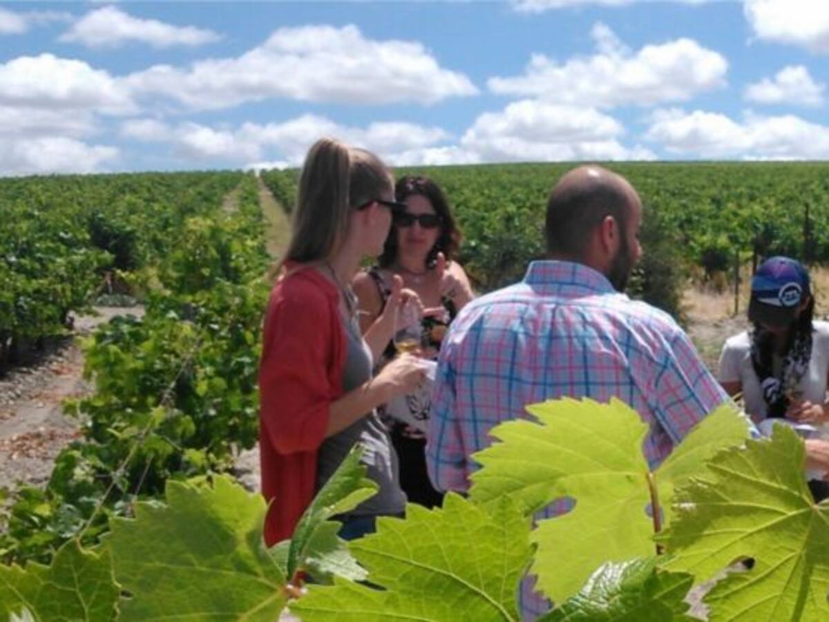 "Volvemos a mirar a la viña, pero falta la verdadera conexión con hoteles y agencias"