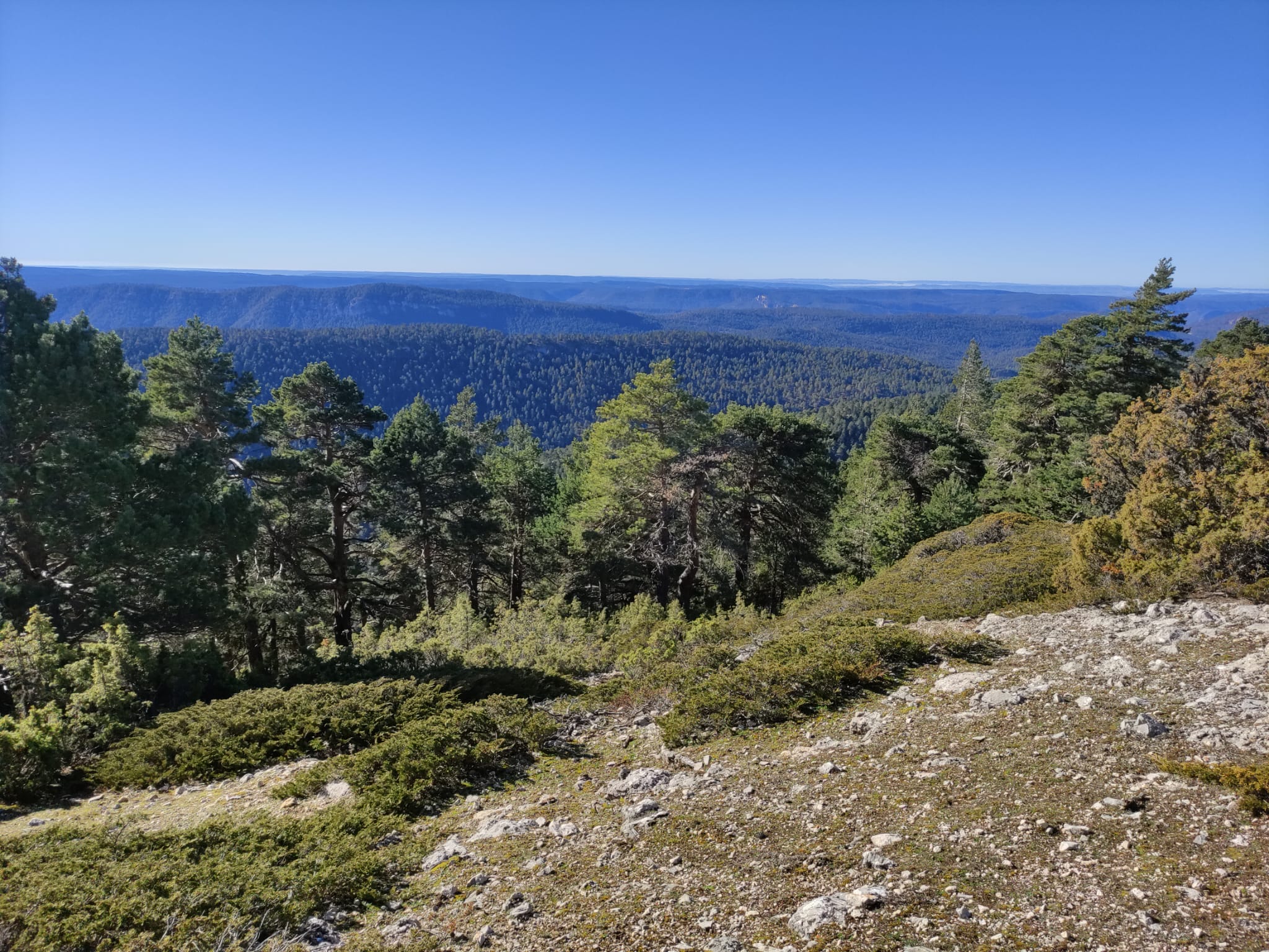 Paisaje en la ruta hasta el cerro de San Felipe.