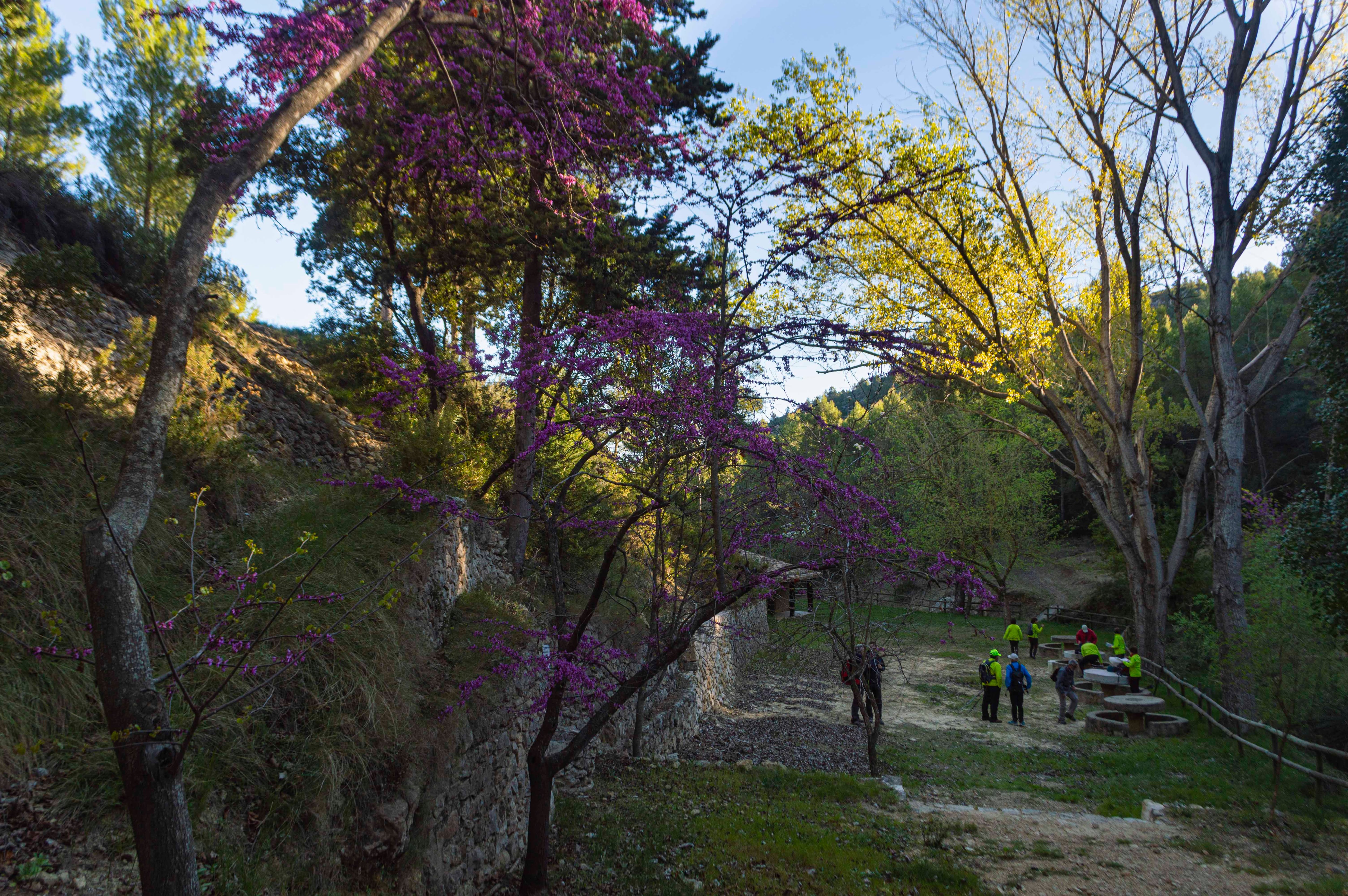 Aviana en Ontinyent