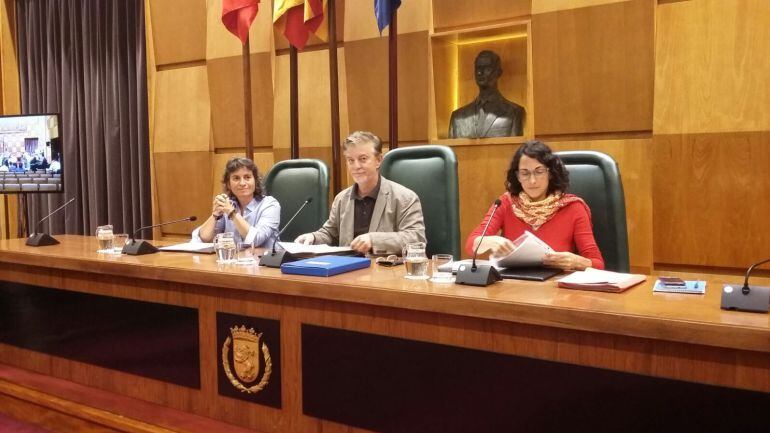 El alcalde de Zaragoza, Pedro Santisteve, durante un pleno municipal