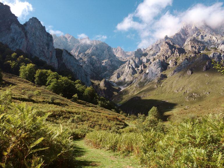 Picos de Europa