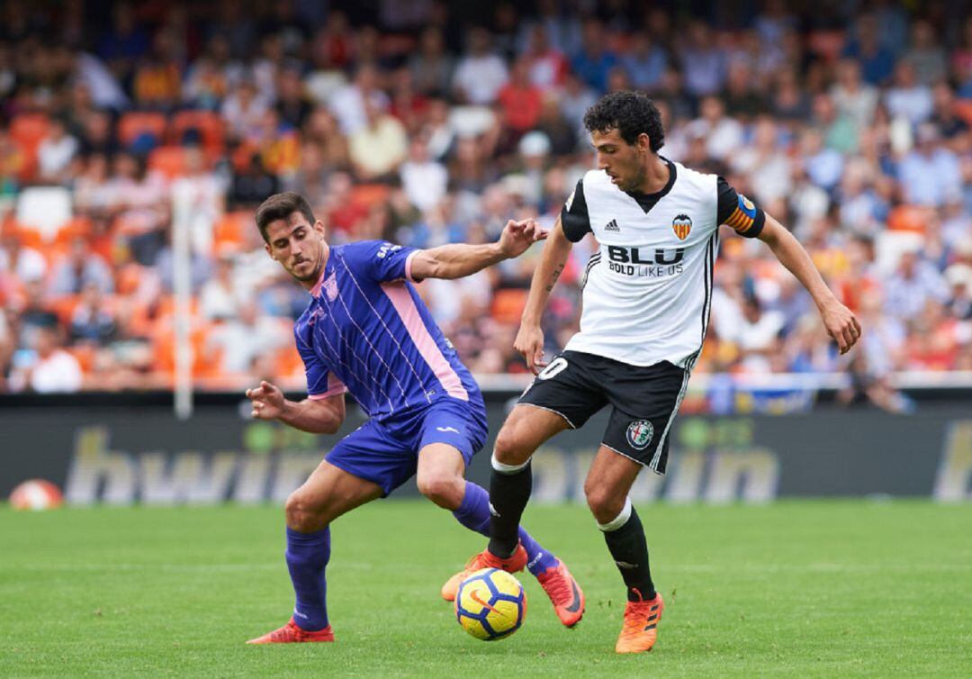 VCF