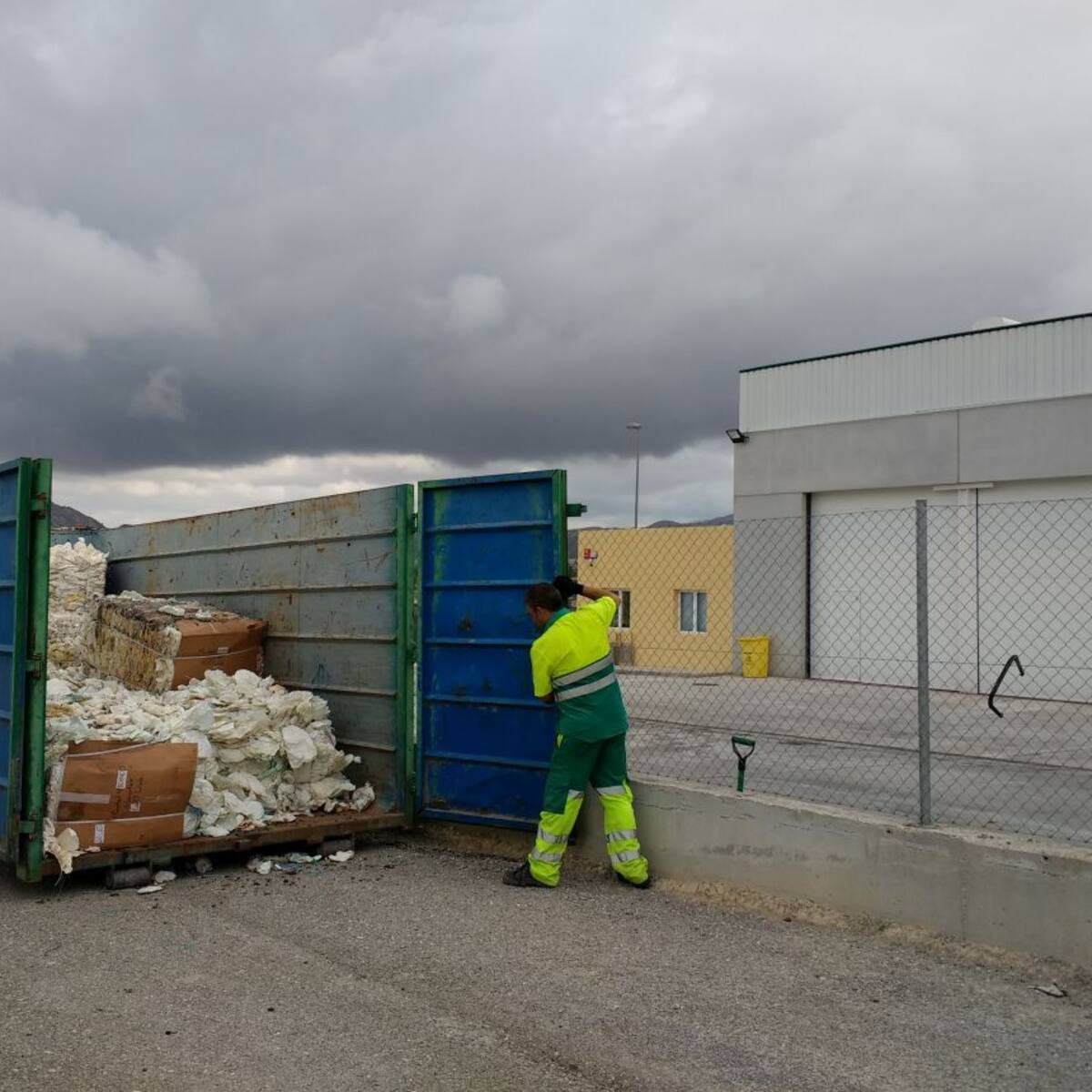Novelda recoge bolsos de papel para la uva de mesa