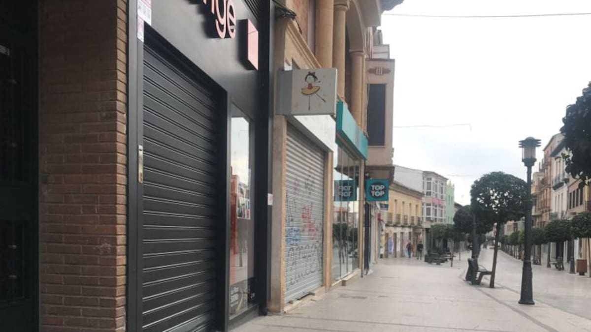 La Policía de Alcázar detiene a unos ladrones en su huida