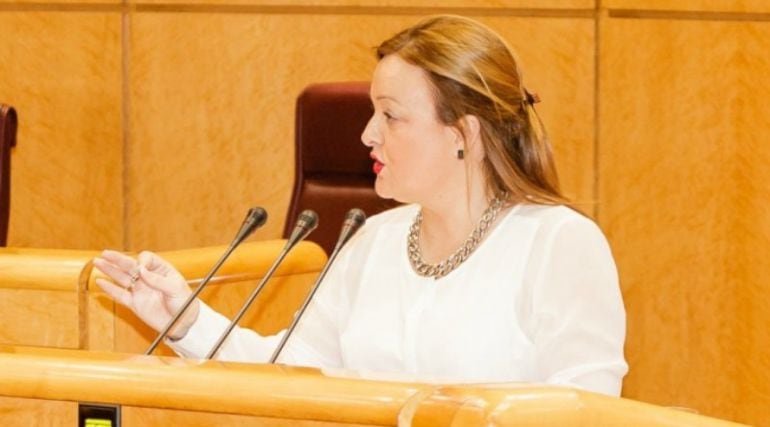 La senadora jeltzale María Eugenia Iparragirre durante una de sus intervenciones en la cámara alta la pasada legislatura