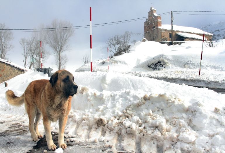 Imagen de archivo de la nieve en Piedraluengas, en la Montaña Palentina