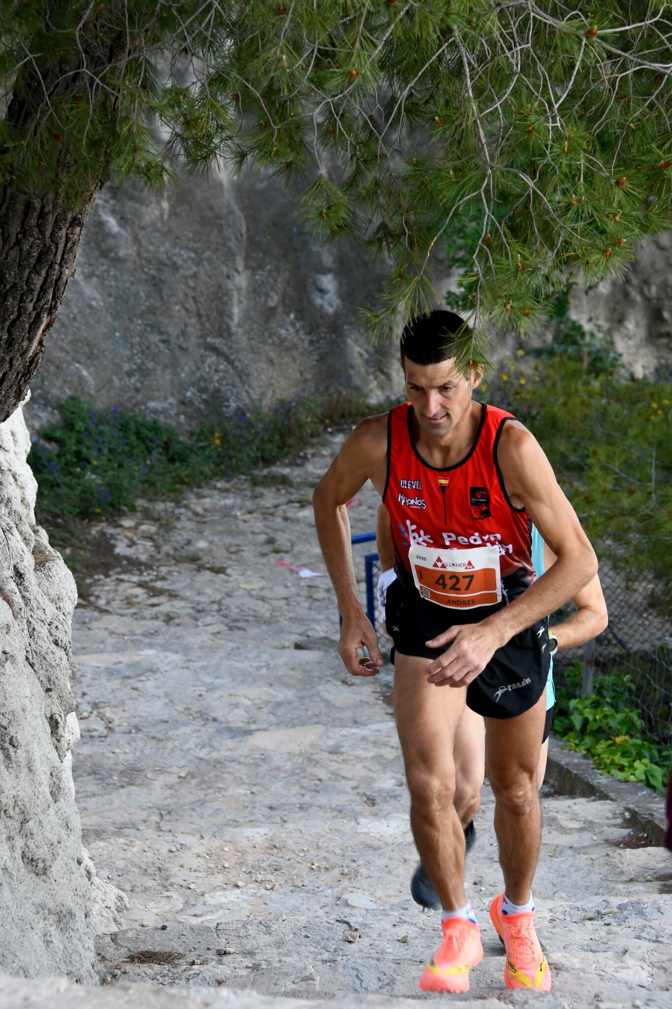 Momento de la carrera