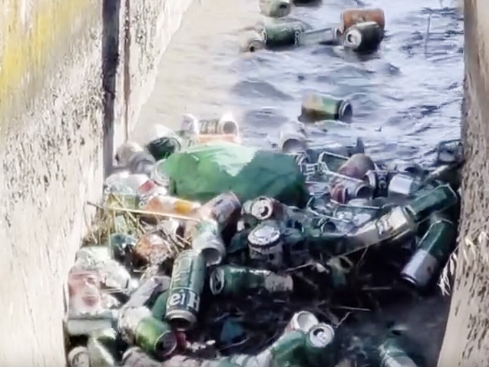 Un río de latas es arrastrado por el agua en una acequia de regadío en la provincia de Alicante.