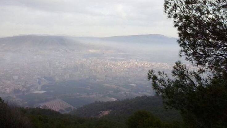 Entrevista a ecologistas y Ayto. sobre las polémicas quemas agrícolas