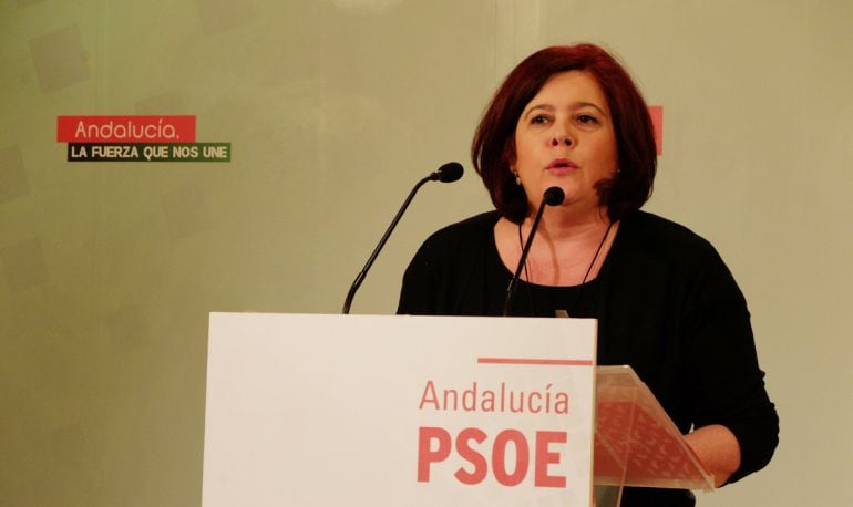 Elvira Ramón, candidata al Congreso por el PSOE de Granada, informa de cómo será la campaña electoral de su partido en esta provincia