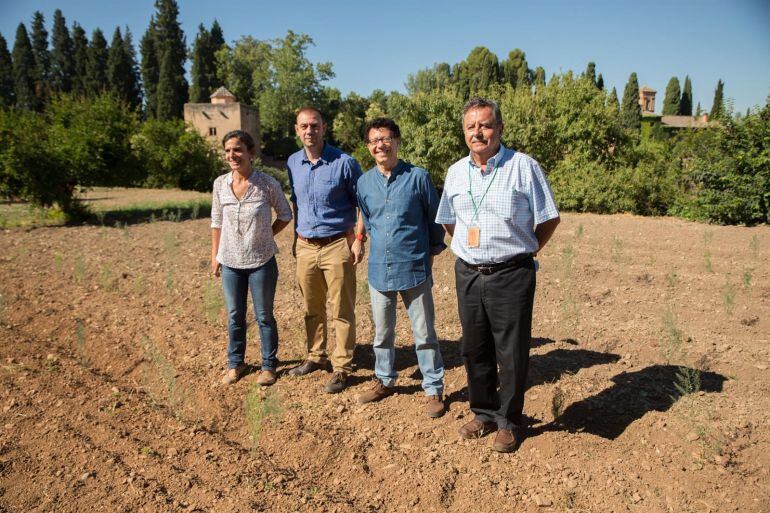 Dehesa del Generalife