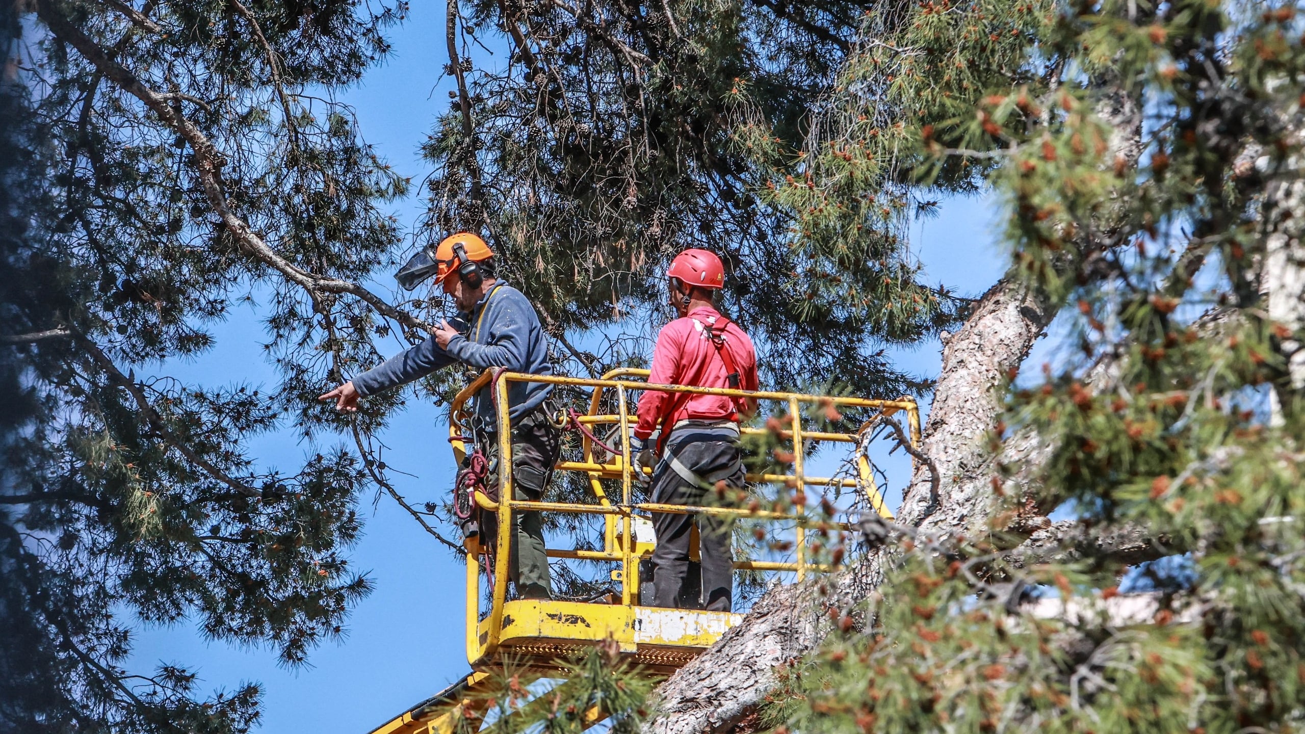 El consistorio prevé reabrir el Jardín de la Música en los próximos días