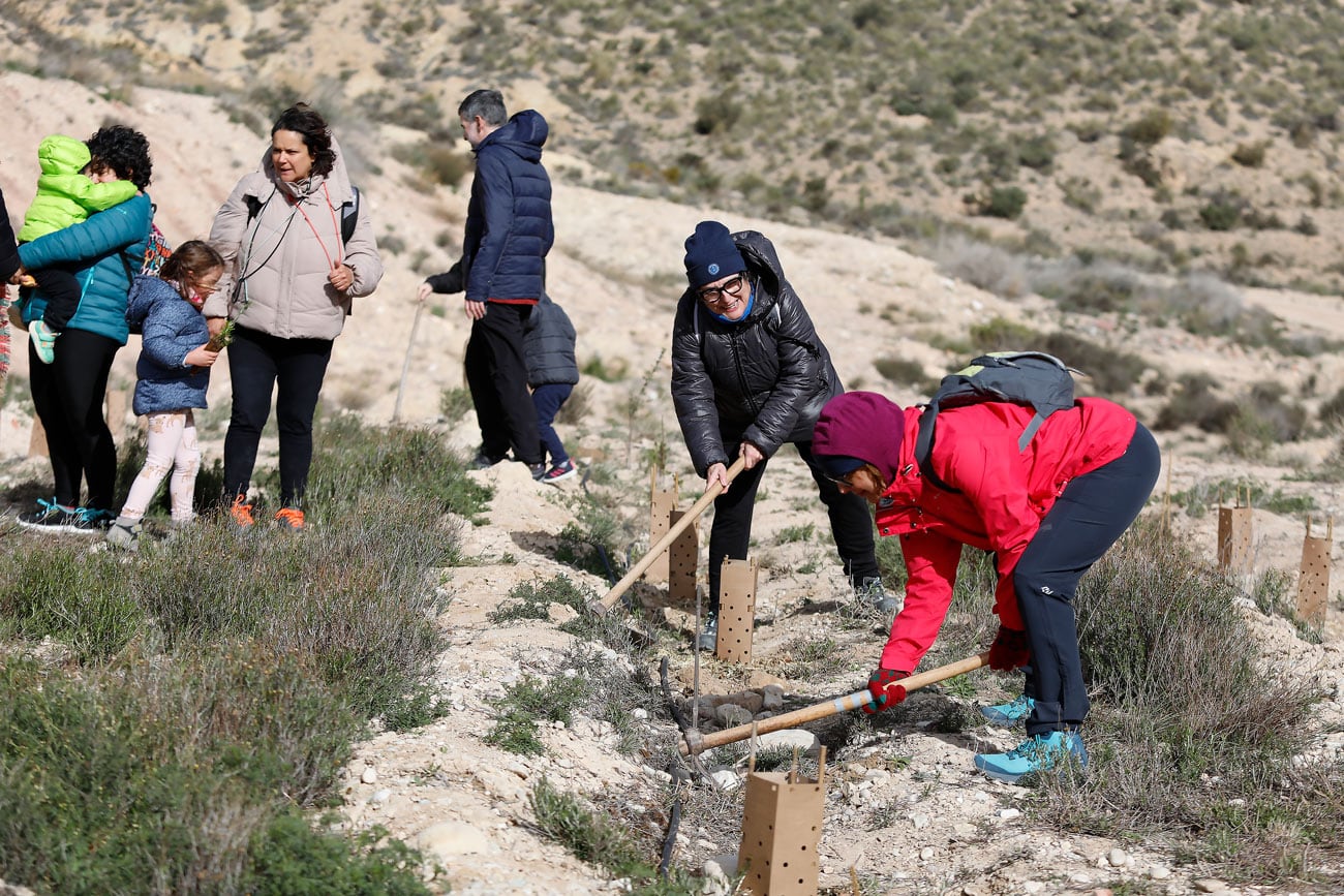 El Día del Árbol se ha celebrado a las faldas de Bolón.