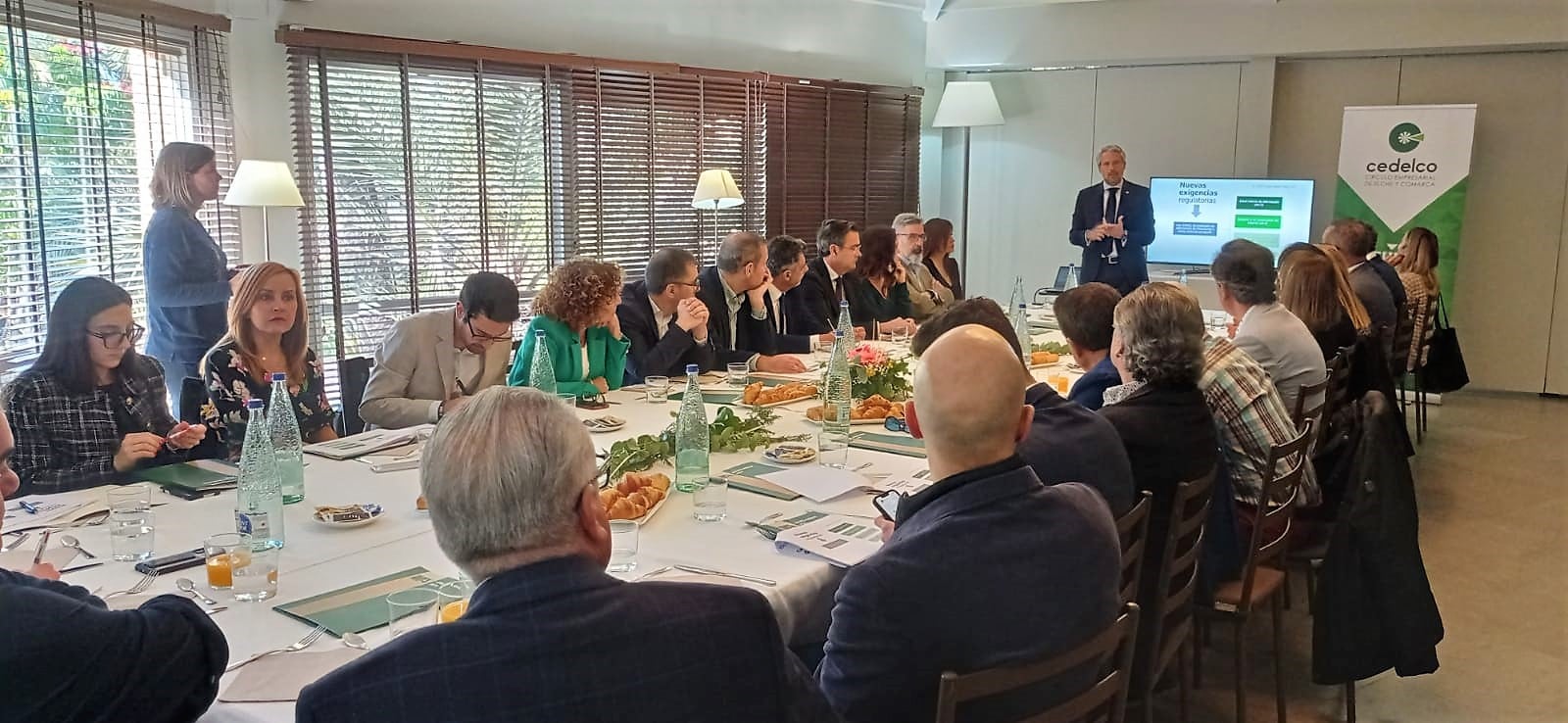 Reunión CEDELCO Elche