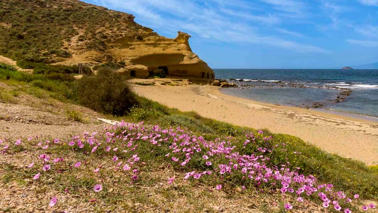 José Antonio Consentino, concejal de Turismo de Águilas.