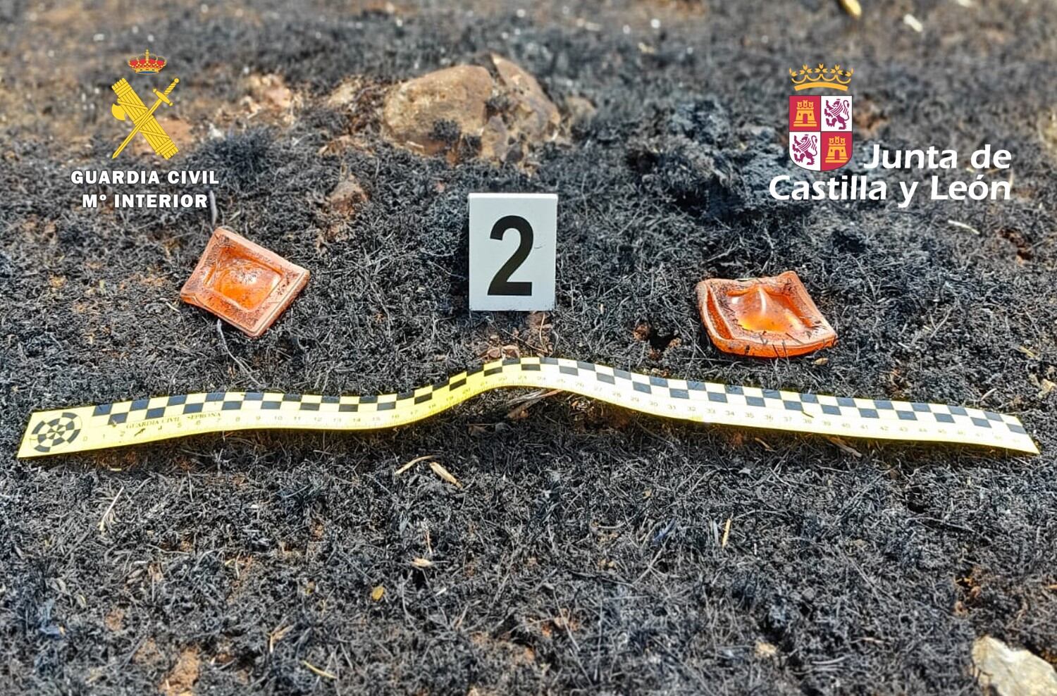 El SEPRONA de Burgos inició una exhaustiva investigación que ha permitido el esclarecimiento de los hechos