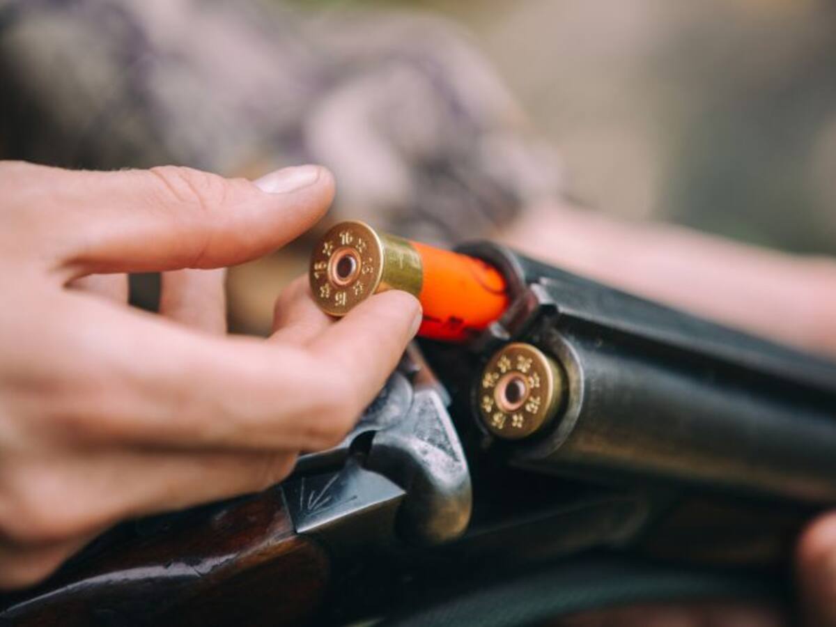 Los cazadores esperan una temporada irregular ante la entrada tardía de la codorniz