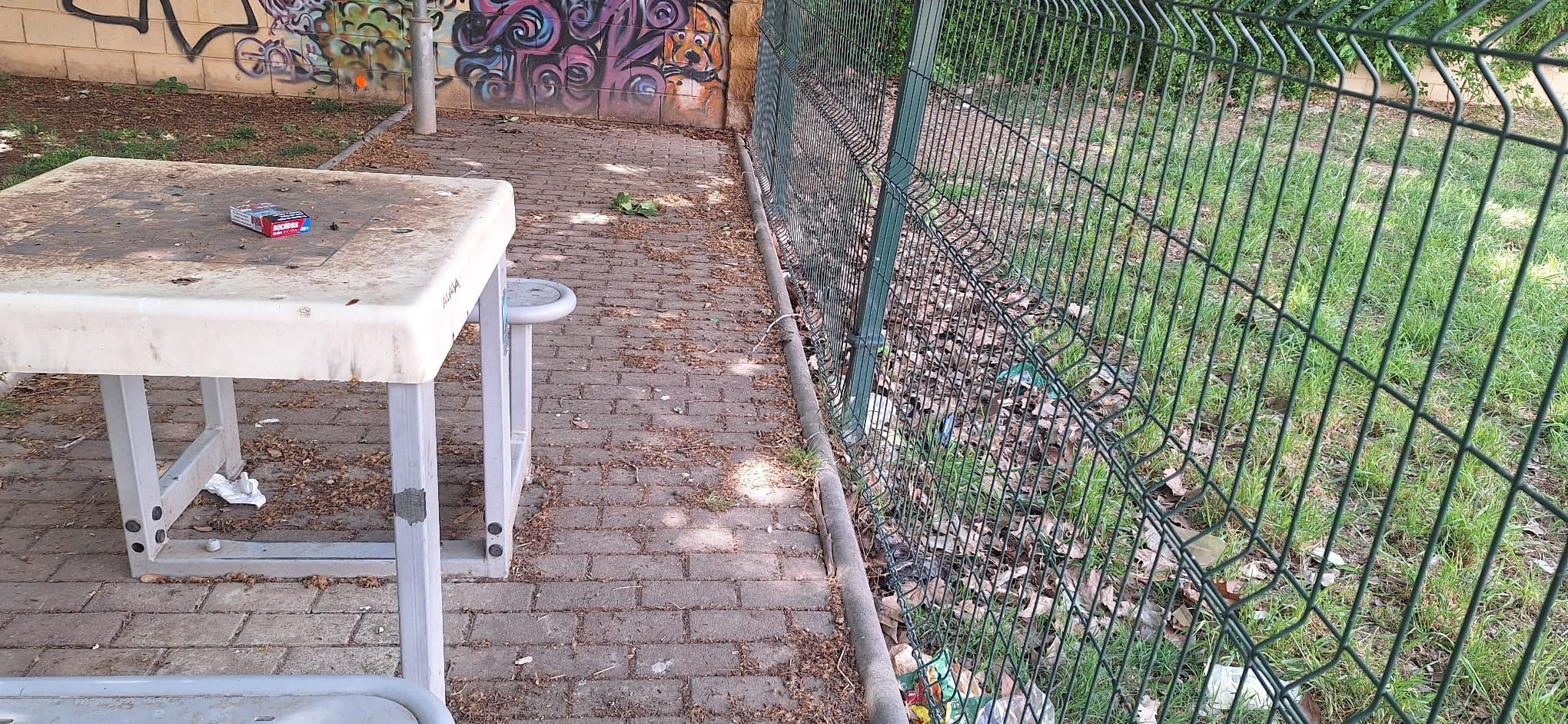 Los socialistas piden mejorar la limpieza en Binéfar. Foto: Psoe