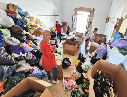 Imagen de parte del material recogido