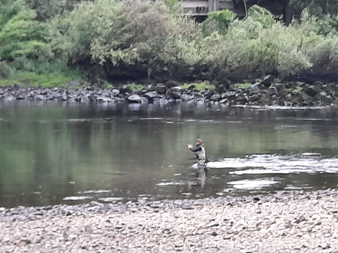 Se abre por segunda vez, la temporada de pesca fluvial