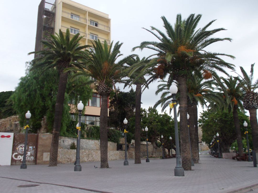 Passeig de les palmeres de Tarragona. 