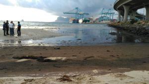 Efectos del vertido en la Playa de la Concha de Algeciras