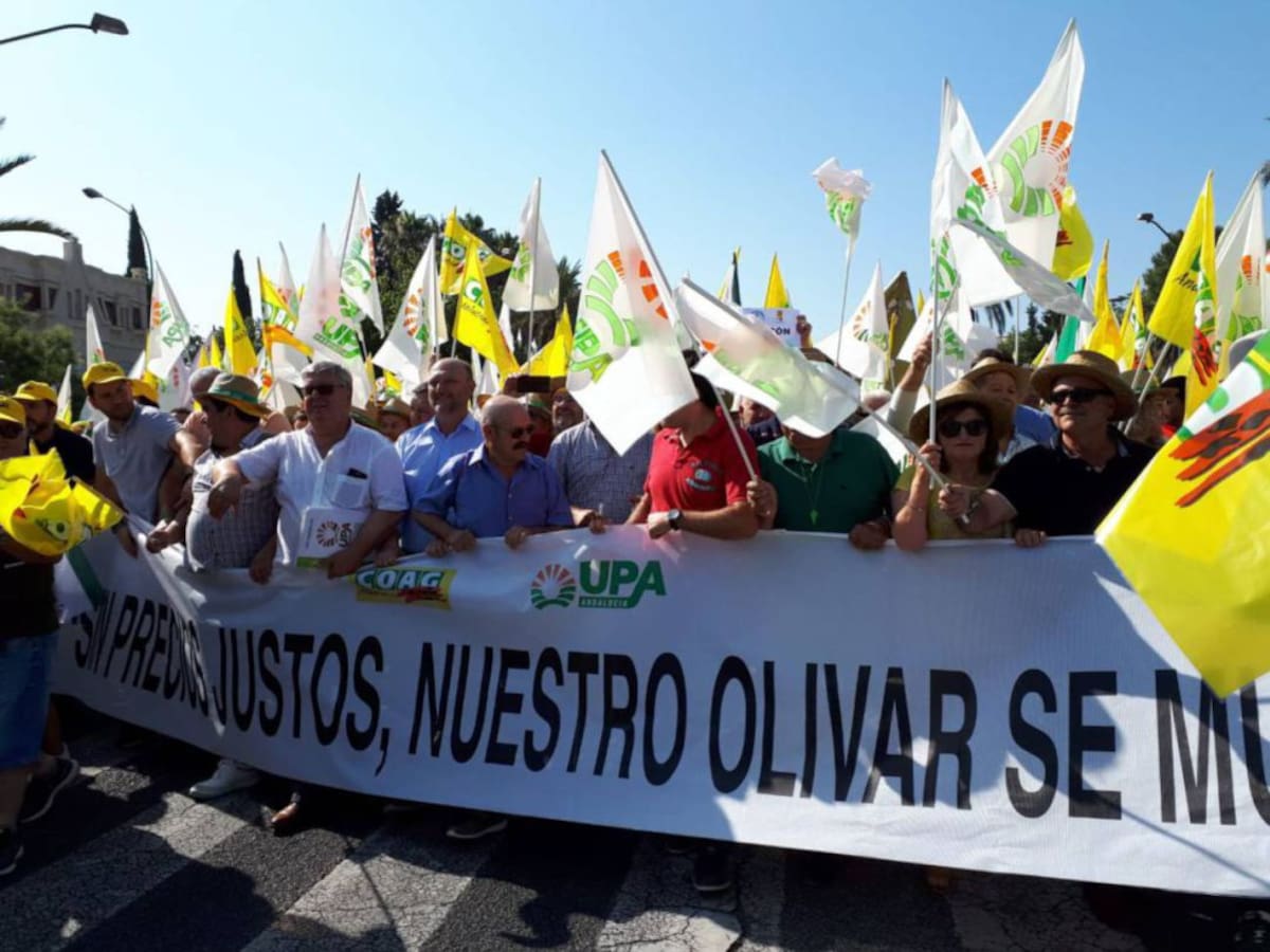 El campo sevillano se prepara para las protestas