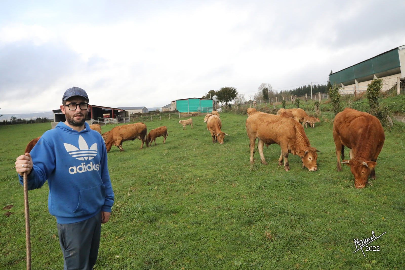 Borja con sus vacas en A Fonsagrada, Lugo