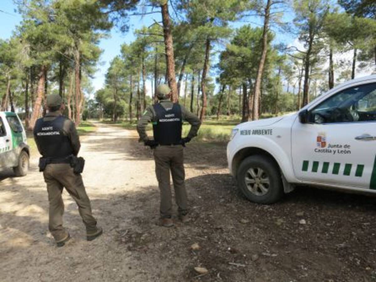 Un dispositivo antiincendios a la mitad, según APAMCyL
