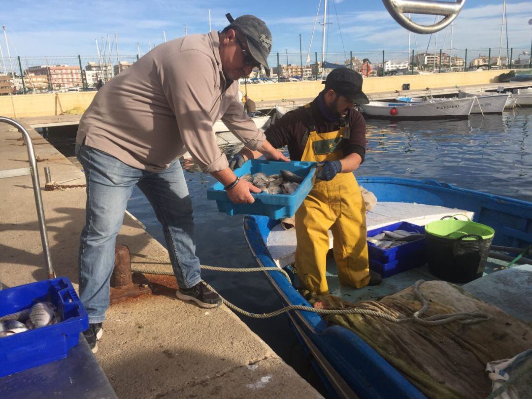 Pescadores de San Pedro del Pinatar descargan sus capturas en la Lonja del Pescado
