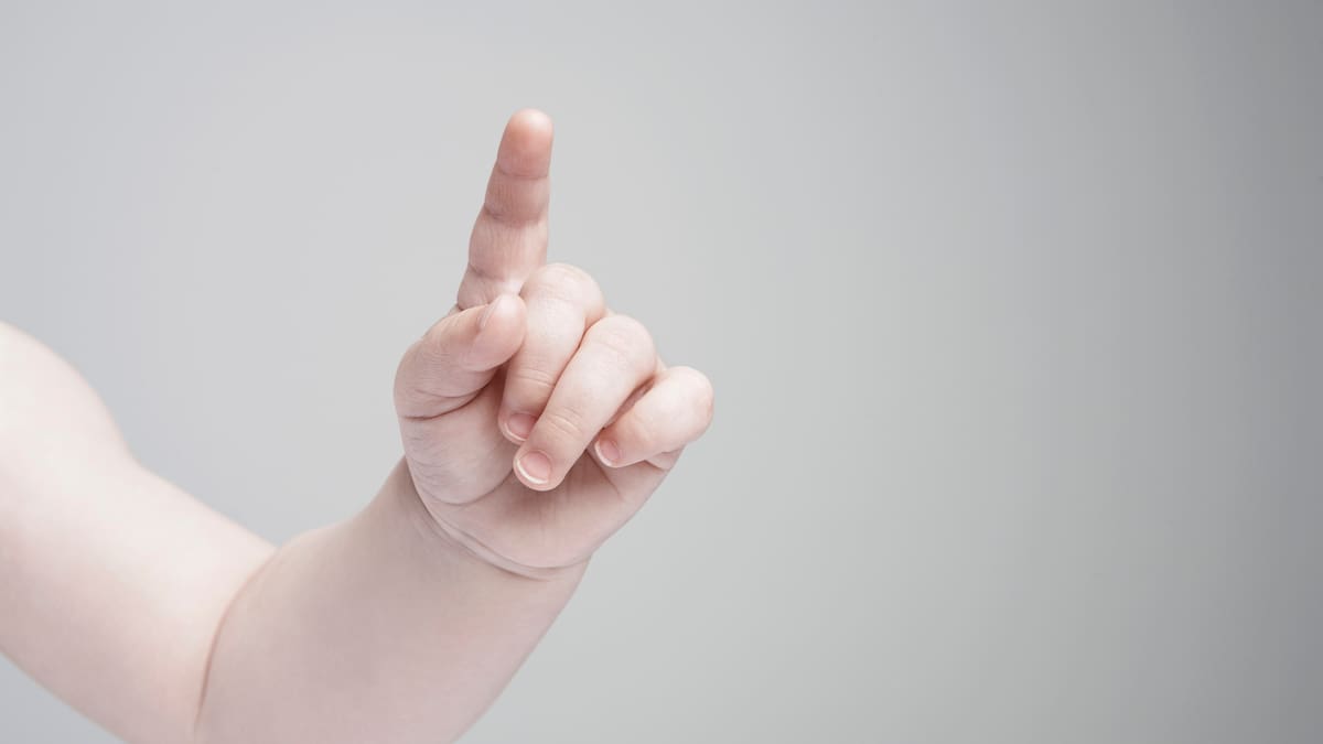 Jesús y María del Carmen, los nombres más usados en Palencia