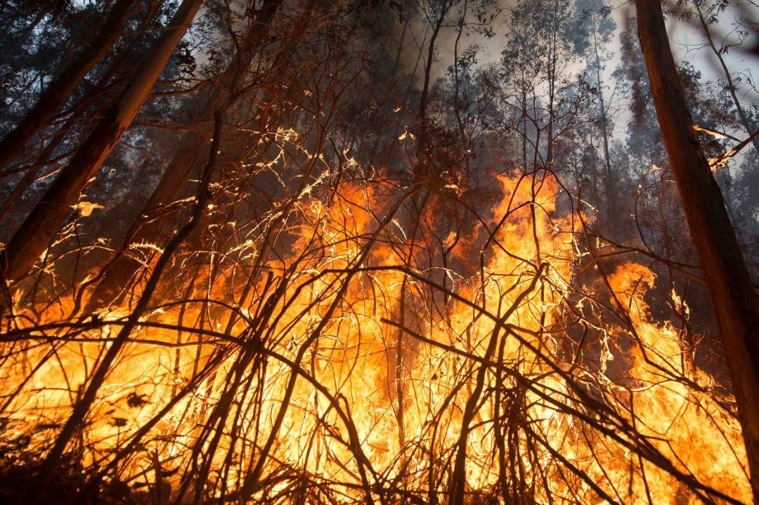 Imagen de archivo de un incendio en Aes.