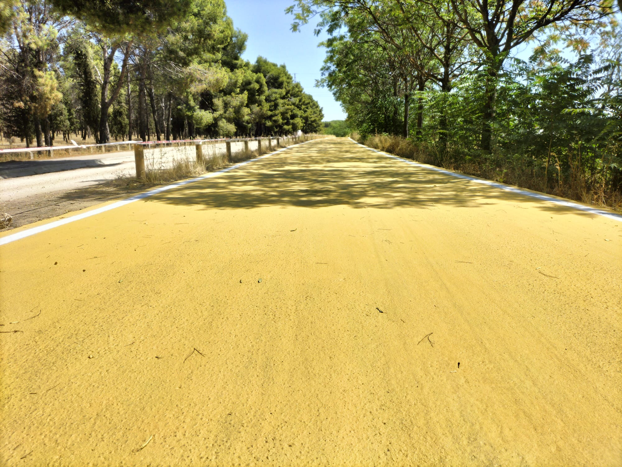 La vía pecuaria de la Vereda de la Torrecilla en Getafe