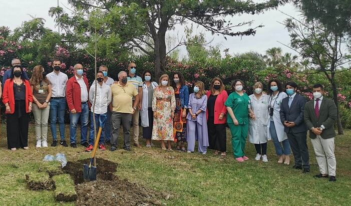 Plantación de un árbol en Algeciras en 2021